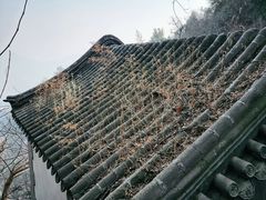 -北京鹫峰国家森林公园