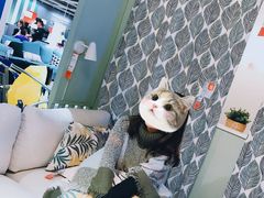 -宜家家居(西安未央商场店)