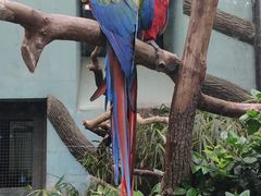 -全季酒店上海野生动物园店-地面停车场