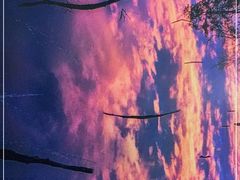 -龙格亲子游泳·水育早教运动中心(绿宝中心)