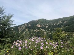 -白草畔自然风景区