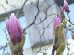 -南长河公园