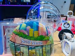 -Sony Store索尼(广州正佳店)