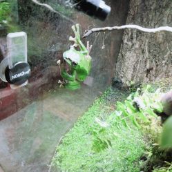 -酷嗒动物文化乐园(cutezoo西溪乐天城店)