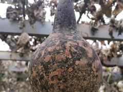 -元鼎宝驴香·全驴宴(江宁店)