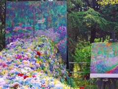 -上海共青森林公园