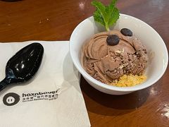 单丸子冰淇淋-haxnbauer海森堡德国餐厅(深圳coco店)
