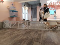 -浣熊柯尔鸭土拨鼠·电玩咖