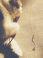 -METATTOO ArtSpace高端定制刺青店