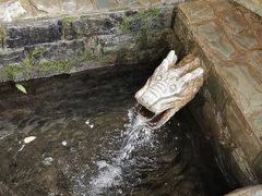 -岣嵝峰国家森林公园