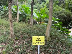 -火炉山森林公园