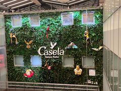 -西沃古尔·拉姆古兰爵士国际机场