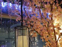 -野妹经典火锅(保利店)