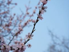 -北京凤凰岭