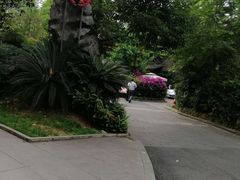 -大妙火锅·非物质文化遗产(东湖公园店)