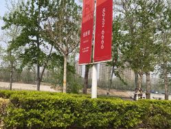-芒果树国际儿童摄影(月亮河店)