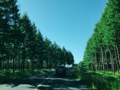 -塞罕坝国家级自然保护区