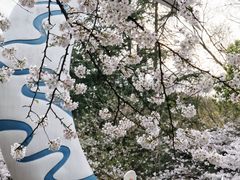 -杭州少年儿童公园