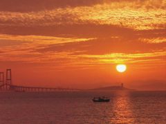 -宝安西湾红树林湿地公园