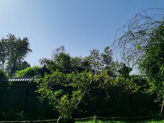 -林间山庄
