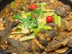 -老板恋上鱼(恒隆广场店)