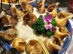 大海螺-大树头森林餐厅(番禺广场店)
