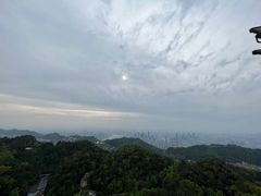-大金鹰园