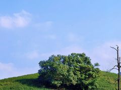 -帐篷客·溪龙茶谷度假酒店