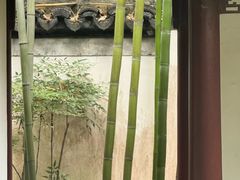 -秋霞圃