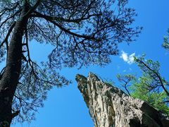 -王顺山国家森林公园