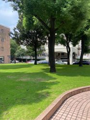 -锦江饭店·锦江小礼堂·宴会厅