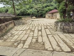 -杭州野生动物世界
