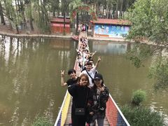 -东方巨龟苑景区