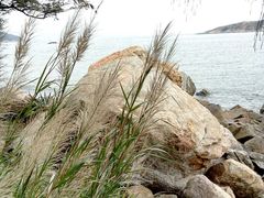 -宋井风景区
