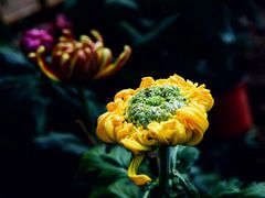-共青国家森林公园-售票处
