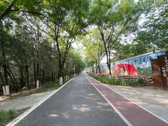 -云岗森林公园
