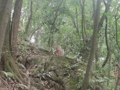 -黔灵山公园