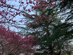 -白塘生态植物园