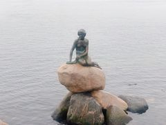 -美人鱼
