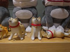 -柴务处·柴犬主题狗咖