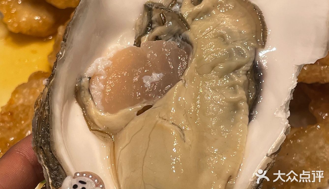 实名推荐这家的锅包肉！送它出道！