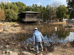 -白塘生态植物园