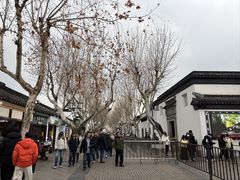 -苏州园林博物馆