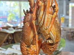 -吉品莞家·鲍鱼鸡煲(东莞店)