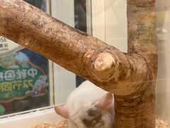 -龙猫仔乐园(惠福东路店)