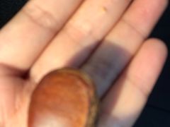 -小宝栗子(嘉华国际商业中心店)