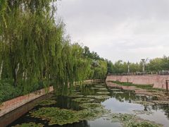 -伊犁河风景区