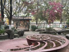 -成都市活水公园