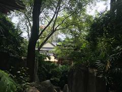 -河源客天下-温泉小镇