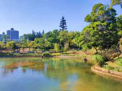 -四海公园(南山区)